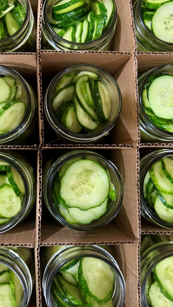 Why Pickles Are the Perfect Healthy Snack Choice